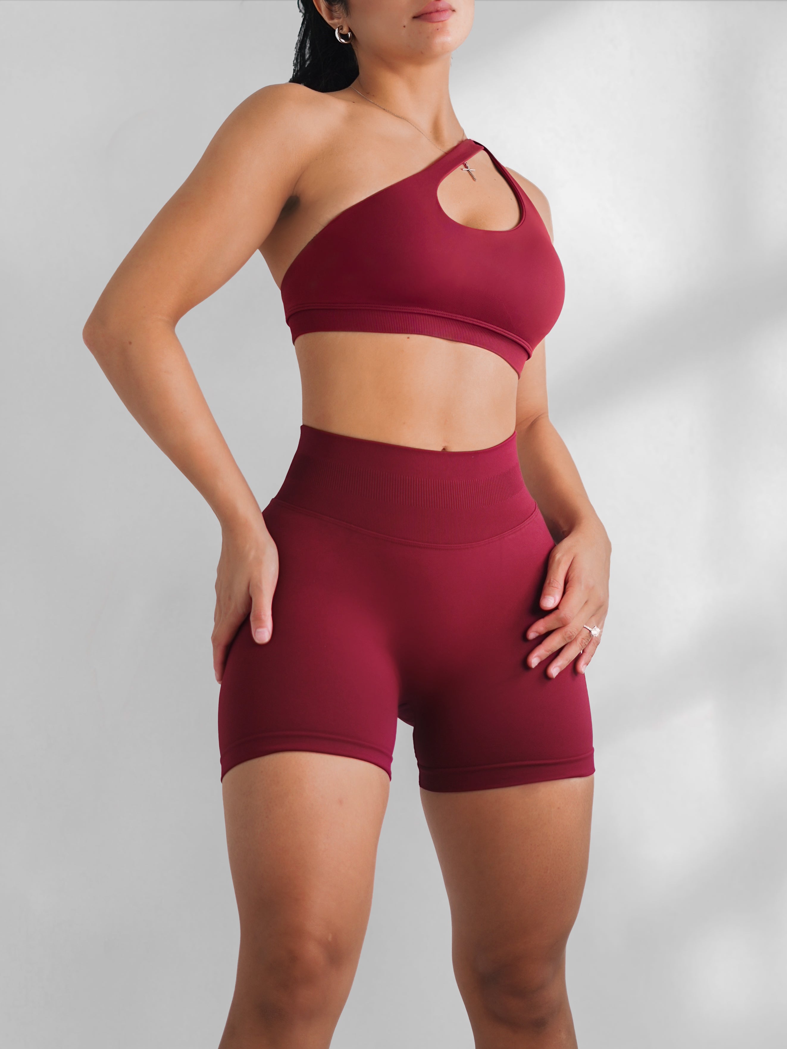 Premier Motion One Shoulder Sports Bra (Cherry Cola)